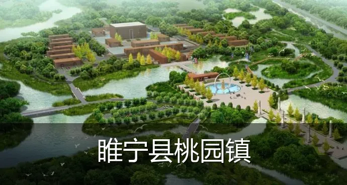 睢宁县桃园镇